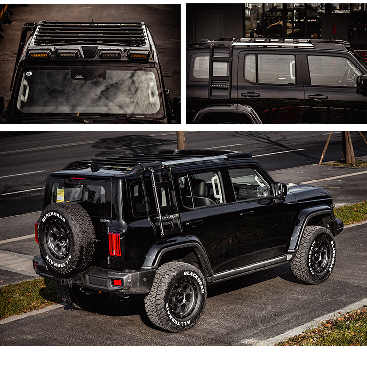GWM Tank 300 REDEFINE Sentinel Roof Rack and Ladder