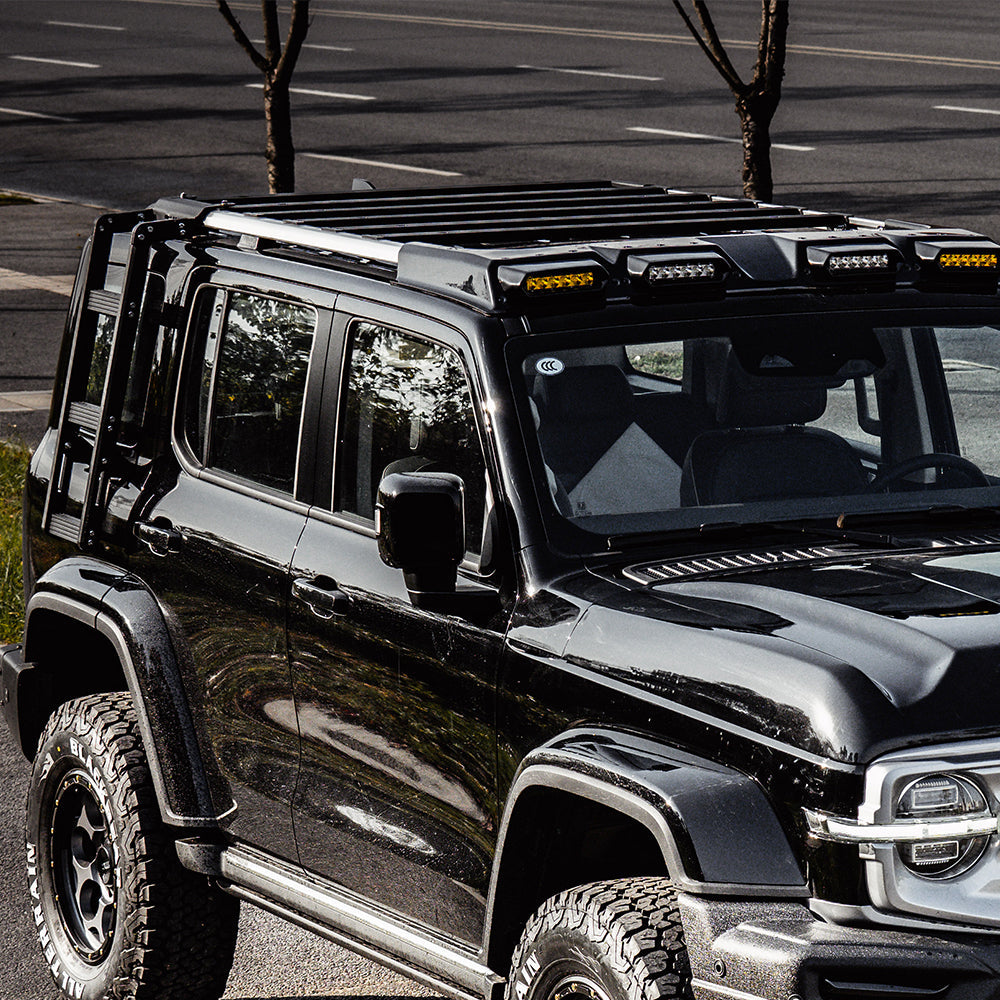 GWM Tank 300 REDEFINE Sentinel Roof Rack and Ladder