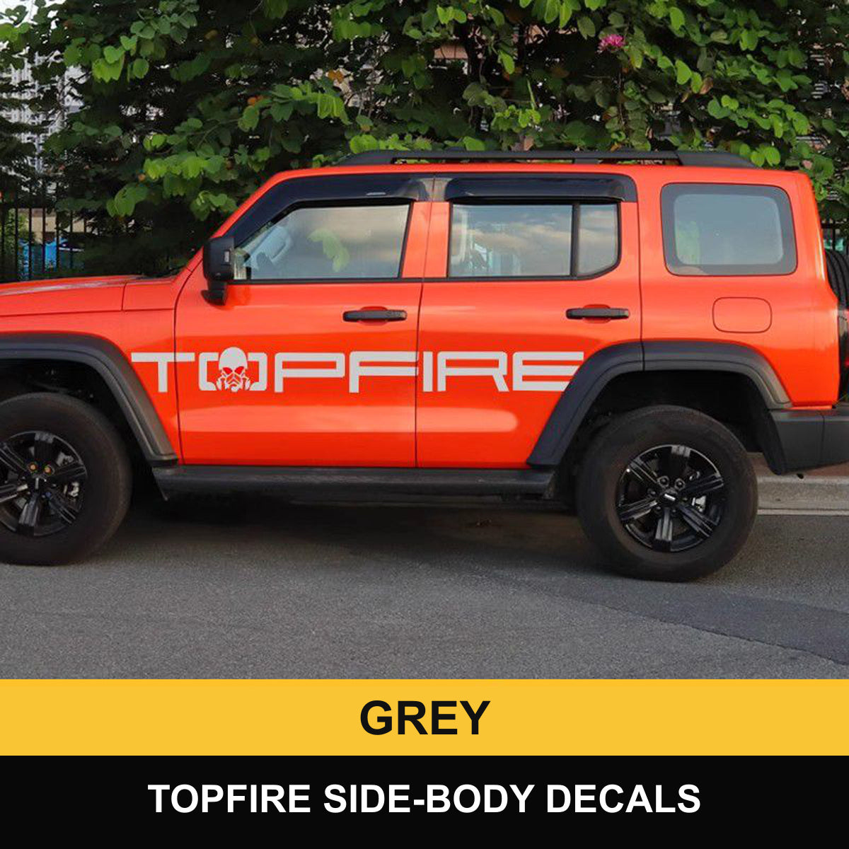 GWM Tank 300 Grey decals – verified product photograph