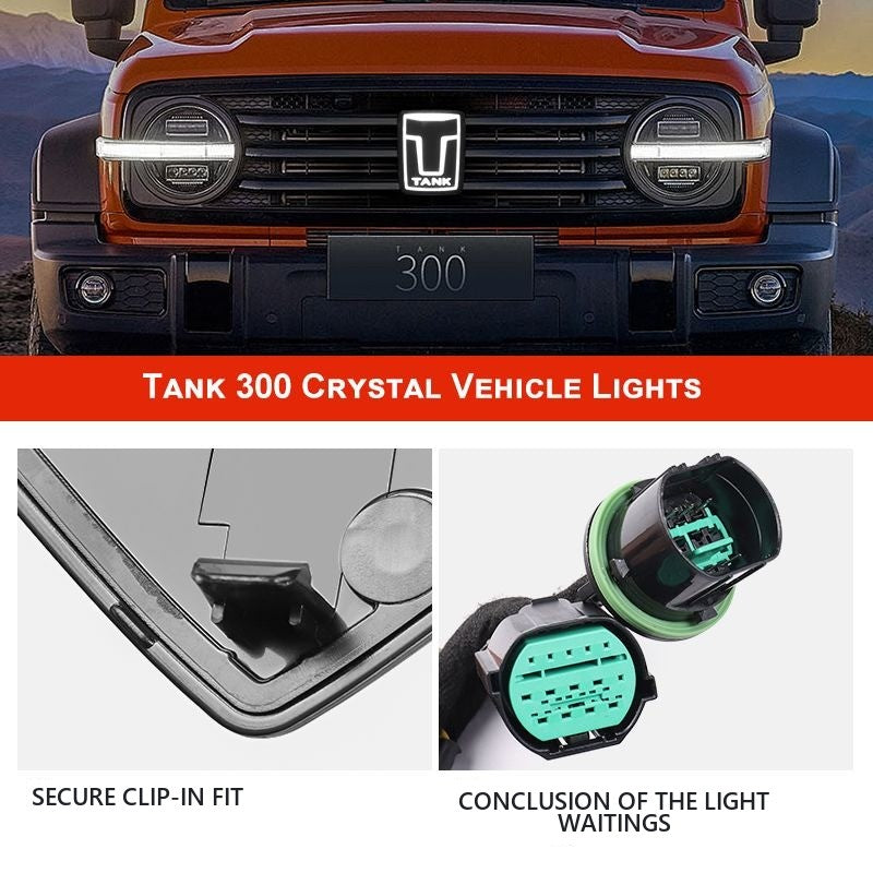 Illuminated Front Grille Emblem for Tank 300 – image 5