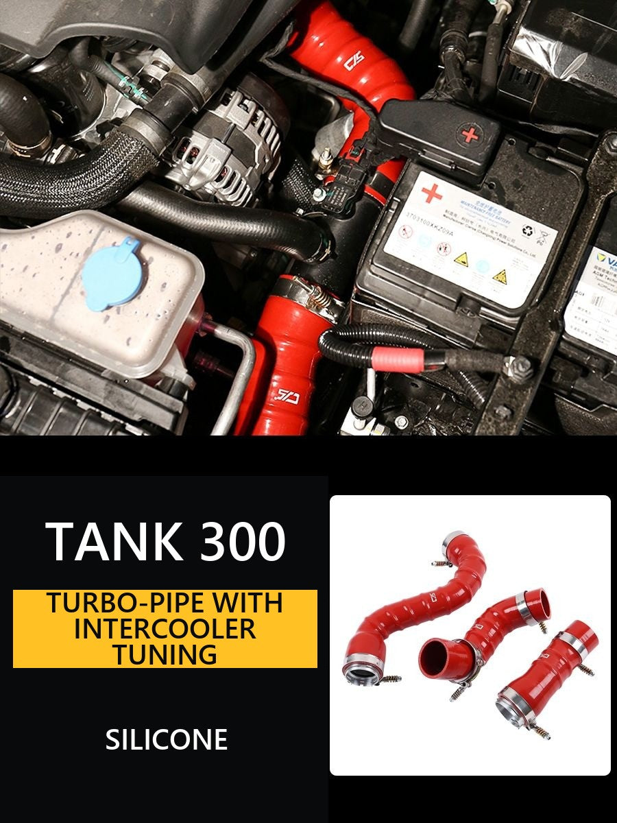 Turbo-pipe with intercooler for Tank 300: tuning to increase power – image 9#Colour_Raspberry