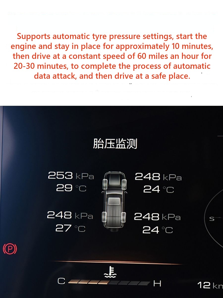 Tyre pressure sensor for Tank 300 – image 2