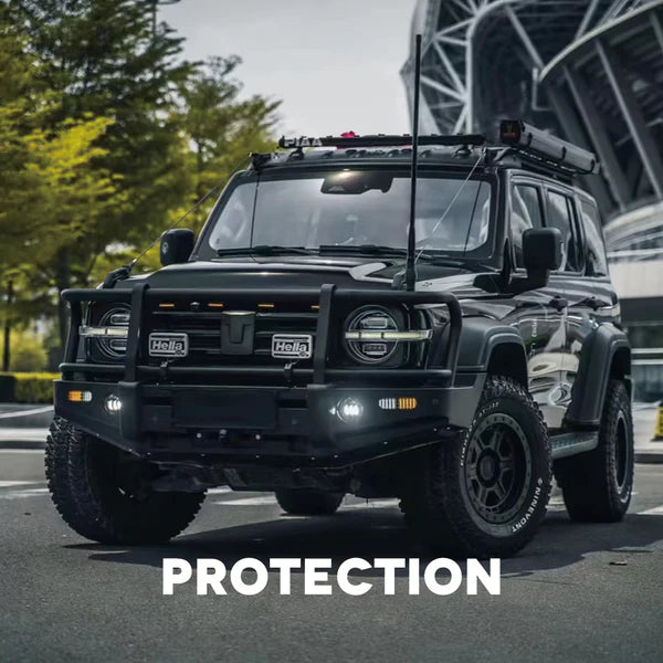 Bull Bars & Protection