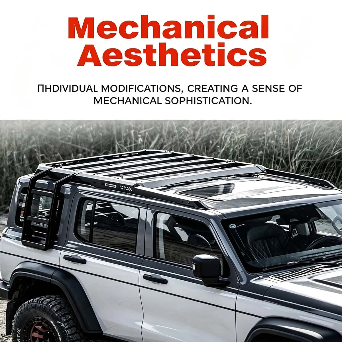 Roof rack for Tank 300