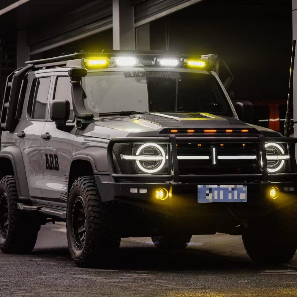 GWM Tank 300 REDEFINE Sentinel Roof Rack and Ladder
