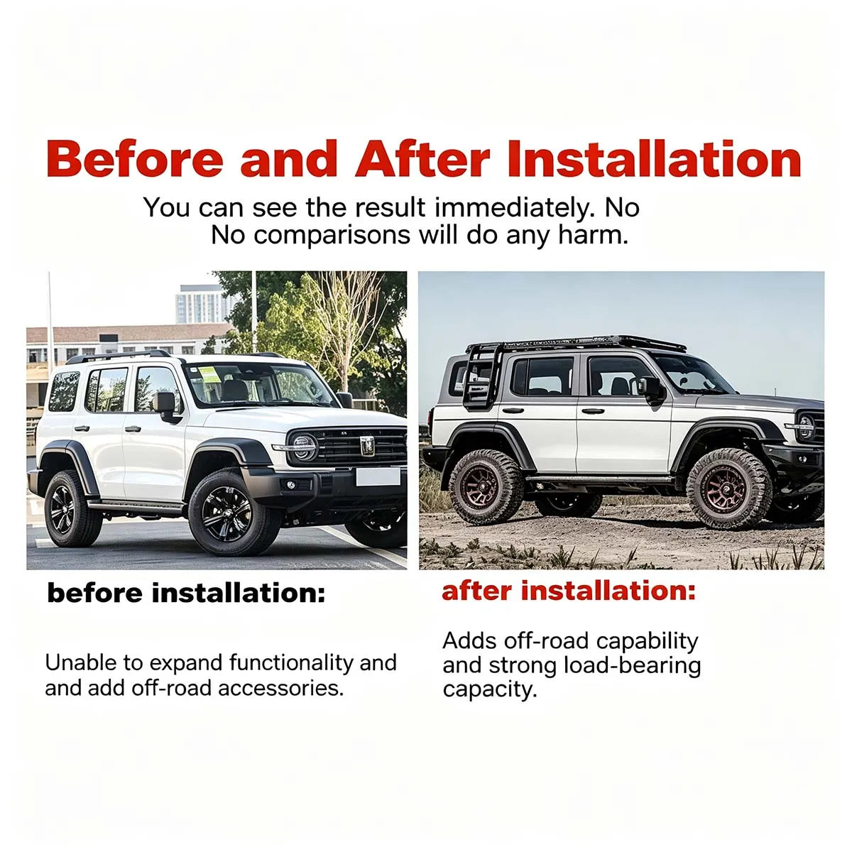 Roof rack for Tank 300