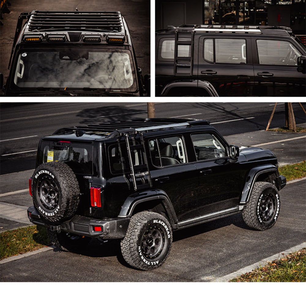 GWM Tank 300 REDEFINE Sentinel Roof Rack and Ladder