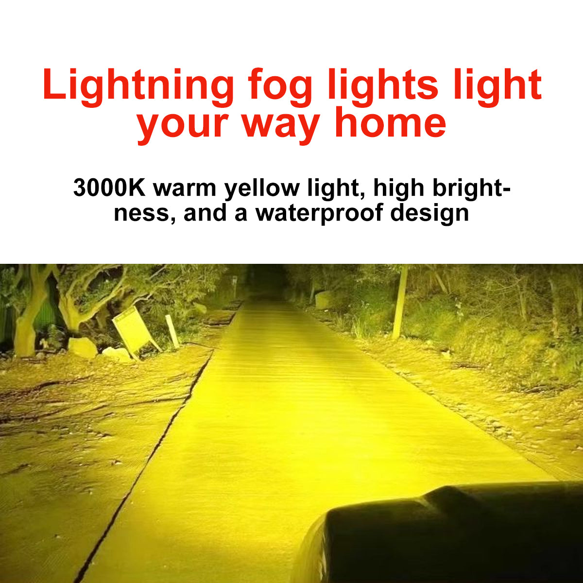 Fog headlights for radiator grille Tank 300