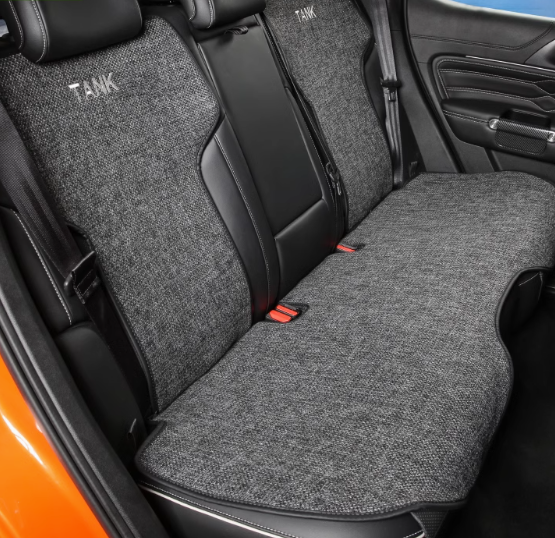 GWM Tank 300 Cushion