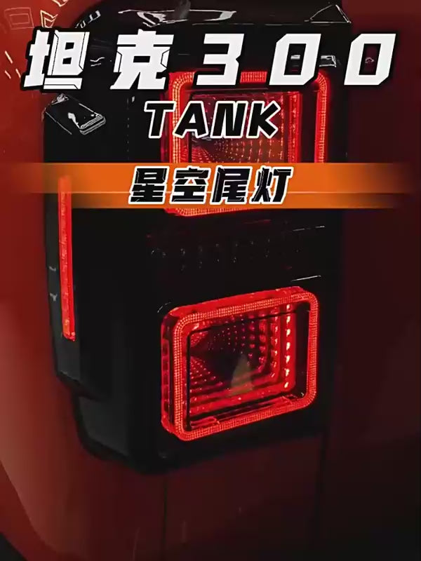 LED Tunnel Tail-Light Assemblies for GWM Tank 300 – Pair – official Ozon product video 2