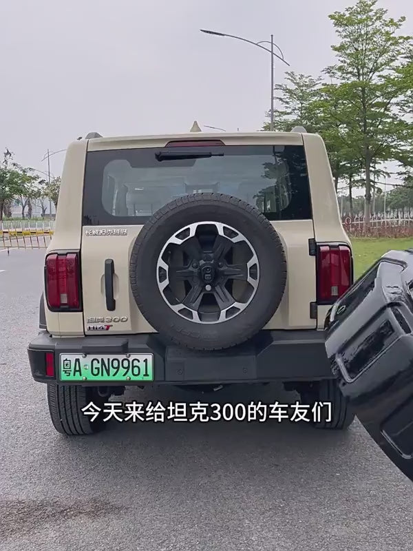 Rugged Hard Spare Wheel Cover for GWM Tank 300 – T-Badge Style product video