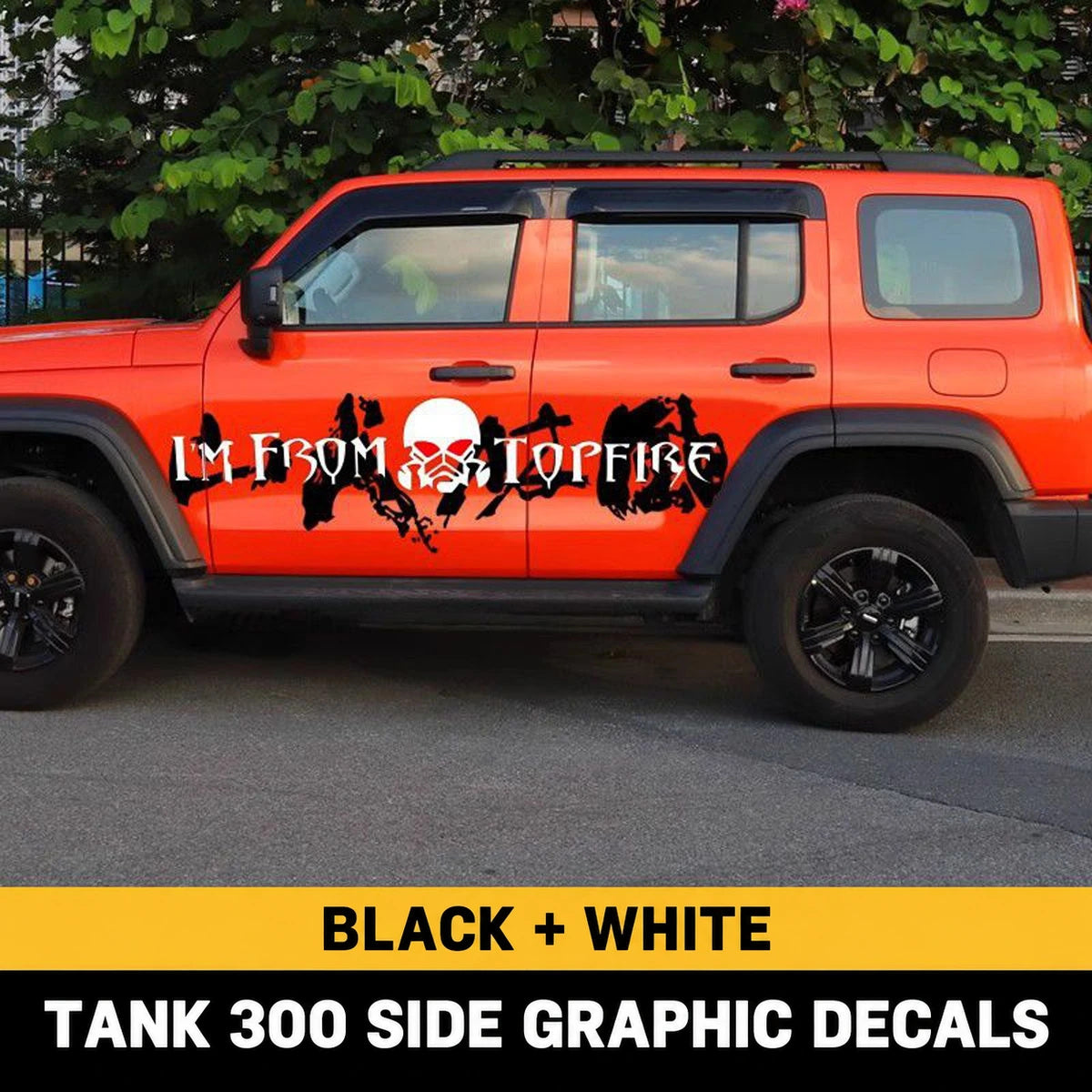 GWM Tank 300 Black + White decals – verified product photograph