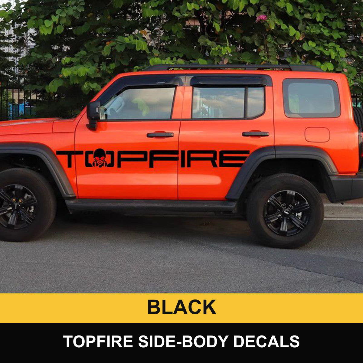 GWM Tank 300 Black decals – verified product photograph